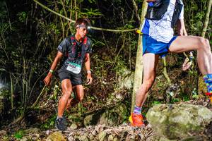 BIB: 
                            <button type="button" onclick="openModal(19379742)" class="btn btn-primary btn-sm float-right btn-popup" data-toggle="modal" data-target=".modal-high-quality">
                        <i class="fas fa-shopping-cart"></i> Add to Cart
                    </button>
                                            <button type="button" onclick="isThisMe(19379742, true)" class="btn btn-success btn-sm float-right btn-popup btn-isme hidden" data-toggle="tooltip" data-placement="bottom" title="นี่คือรูปของคุณใช่ไหม คลิกที่นี่เพื่อเอาเข้าอัลบั้ม">
                        <i class="fas fa-plus"></i> Add to album
                    </button>
                    <button type="button" onclick="isThisMe(19379742, false)" class="btn btn-warning btn-sm float-right btn-popup btn-isnotme hidden">
                        <i class="fas fa-ban"></i> Remove from album
                    </button>